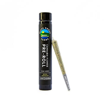 Glass House Farms - Lilac Diesel - 1g (30% OFF - No Additional Discount)